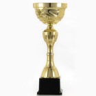 Кубок 134D, наградная фигура, золото, подставка пластик, 26 × 8 × 7,5 см. - фото 11627791
