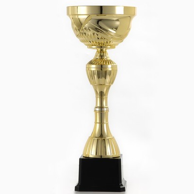 Кубок 134D, наградная фигура, золото, подставка пластик, 26×8×7.5 см