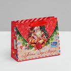 Пакет ламинированный горизонтальный «Почта Деда Мороза», S 5.5 × 14 × 11 см - Фото 1
