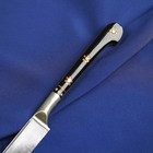 Нож Пчак Шархон средний, рукоять из латуни и рога, узкий прямой - Фото 13
