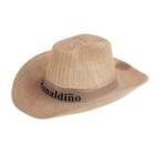 Шляпа ковбой плетеная Ronaldiho, цвета МИКС - Фото 2