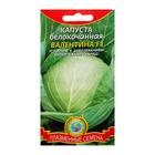 Семена Капуста белокочанная "Валентина" F1, 0,1 г - Фото 1