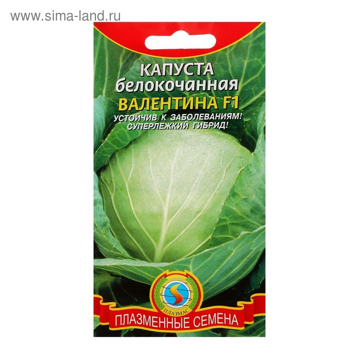 Семена Капуста белокочанная "Валентина" F1, 0,1 г - Фото 1