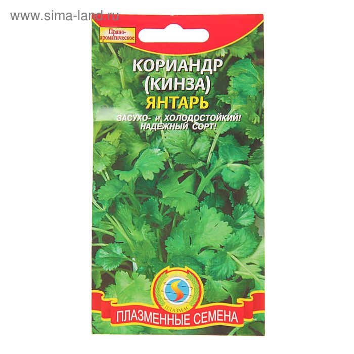 Семена Кориандр (кинза) "Янтарь", 2 г - Фото 1