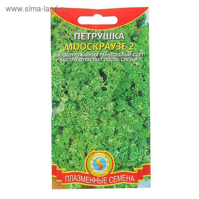 Семена Петрушка "Мооскраузе 2", 2 г - Фото 1