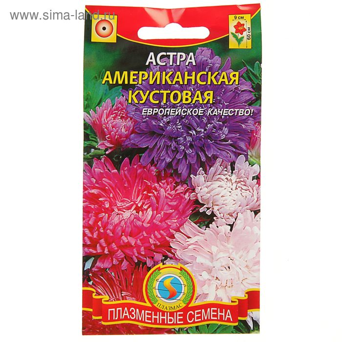 Семена цветов Астра Американская кустовая смесь, О, 0,3 г - Фото 1