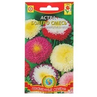 Семена Астра "Болеро", смесь, 0,2 г 2733982 - фото 16488675