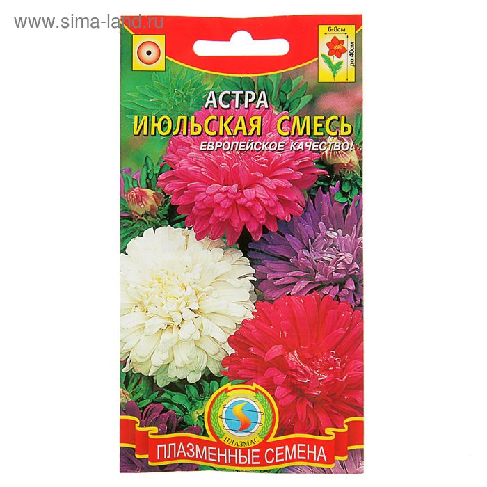 ГК Лидер 4471215 - купить по выгодным ценам в интернет-магазине OZON (1599517017