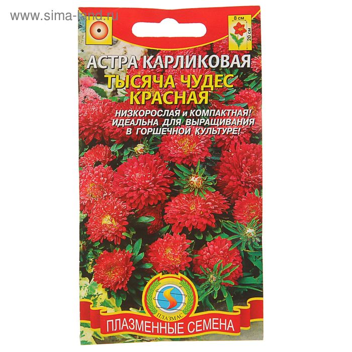 Семена цветов Астра карликовая "Тысяча чудес" красная, О, 0,2 г - Фото 1