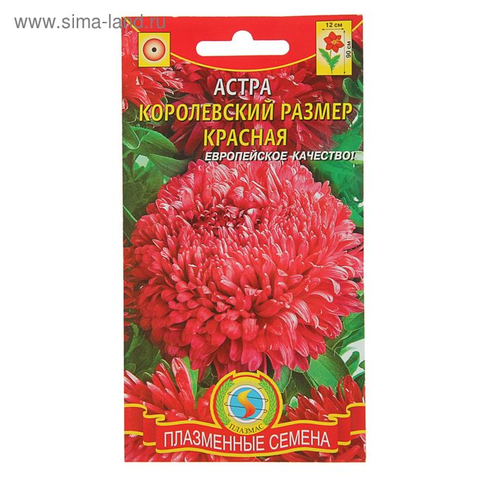 Семена цветов Астра "Королевский размер" Красная, О, 0,1 г - Фото 1
