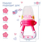 Ниблер для прикорма «Модница», с силиконовой сеточкой, цвет розовый - Фото 3