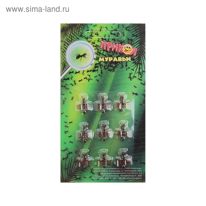 Прикол "Муравьи" - Фото 1