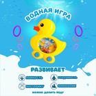 Водная игра «Утёнок», цвета МИКС - фото 5799230