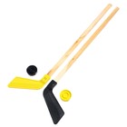 Детский хоккейный набор, 2 шайбы, 2 клюшки 80 см, МИКС - Фото 2