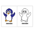 Раскраска «Птицы», 16 стр. - Фото 3