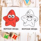Раскраска «Подводный мир», 16 стр. 2656407 - фото 16762456