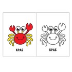 Раскраска «Подводный мир», 16 стр. - Фото 3