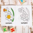 Раскраска «Цветы», 16 стр. - Фото 2