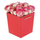 Переноска для цветов с пакетом, красная, 14,5 х 13 х 17 см - Фото 1