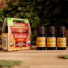 Набор эфирных масел «Добрый пар» (эвкалипт, можжевельник, пихта) - Фото 1