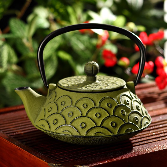 Чайник «Джана», 800 мл, с ситом, цвет зелёный - Фото 1