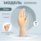 Модель деревянная художественная Манекен «Рука мужская правая» 31 см - Фото 1