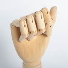 Модель деревянная художественная Манекен "Рука мужская правая" 31 см - Фото 2