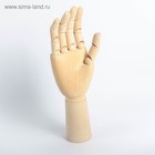 Модель деревянная художественная Манекен «Рука мужская правая» 31 см - Фото 2