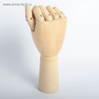 Модель деревянная художественная Манекен «Рука мужская правая» 31 см - Фото 4