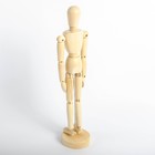 Модель деревянная художественная манекен "Человек", 30 см - фото 10310145
