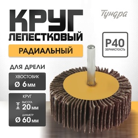 Круг лепестковый радиальный ТУНДРА, 60 х 20 х 6 мм, Р40 1875462