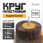 Круг лепестковый радиальный ТУНДРА, 80 х 30 х 6 мм, Р40 1875468 - фото 16568305