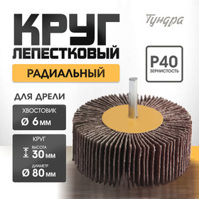 Круг лепестковый радиальный ТУНДРА, 80 х 30 х 6 мм, Р40 1875468