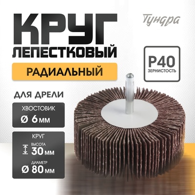 Круг лепестковый радиальный ТУНДРА, 80×30×6 мм, Р60