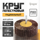 Круг лепестковый радиальный ТУНДРА, 80 х 30 х 6 мм, Р80 1875470 - фото 25185168