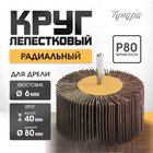 Круг лепестковый радиальный ТУНДРА, 80 х 40 х 6 мм, Р80 1875473 - фото 12947754