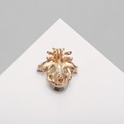 Брошь «Жук», цвет белый в золоте - Фото 2