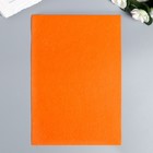 Фетр жёсткий "Ярко-оранжевый" 1 мм (набор 10 листов) формат А4 - фото 8343788