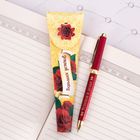 Ручка в подарочном конверте «Больших успехов» - Фото 1