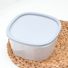 Контейнер для продуктов с мерной шкалой SparkPlast BioFresh, 2.65 л, прозрачный, пластик, крышка МИКС - Фото 2