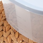 Контейнер для продуктов с мерной шкалой SparkPlast BioFresh, 2.65 л, прозрачный, пластик, крышка МИКС - Фото 4