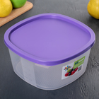 Контейнер для продуктов с мерной шкалой SparkPlast BioFresh, 2.65 л, прозрачный, пластик, крышка МИКС - Фото 8