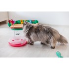 Игровой комплекс для кошек "Загадочный круг" с дразнилкой и шариком, 25 х 25 х 20 см, микс цветов 22 - Фото 11