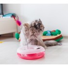 Игровой комплекс для кошек "Загадочный круг" с дразнилкой и шариком, 25 х 25 х 20 см, микс цветов 22 - Фото 12
