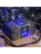 Гирлянда «Нить» 10 м, IP44, УМС, тёмная нить, 72 SMD-LED, свечение синее, 220 В 2354095 - фото 319933230