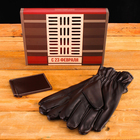 Подарочный набор "С 23 Февраля": перчатки и зажим для денег, экокожа - Фото 1