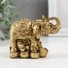 Нэцкэ полистоун "Слон на монетах" бронза 6,7х8,2х4,6 см - фото 8344236