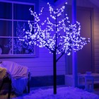 Светодиодное дерево «Баугиния» 2 м, 864 LED, постоянное свечение, 220 В, свечение синее - фото 2179809