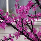 Дерево светодиодное улич. 1.8 м. "Сакура" 768LED, 46W, 220V, ФИОЛЕТОВЫЙ - Фото 4