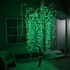 Светодиодное дерево «Плакучая ива» 2.5 м, 1728 LED, постоянное свечение, 220 В, свечение зелёное - фото 12422812